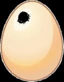 Egg